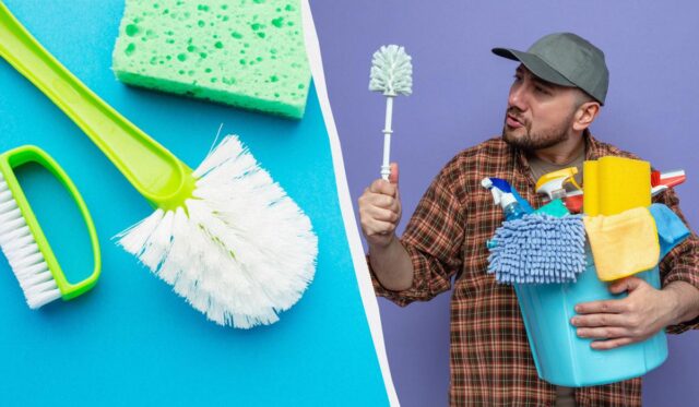 Ось що потрібно робити, щоб йоржик завжди залишався чистим: як його правильно мити Ось-що-потрібно-робити,-щоб-йоржик-завжди-залишався-чистим:-як-його-правильно-мити