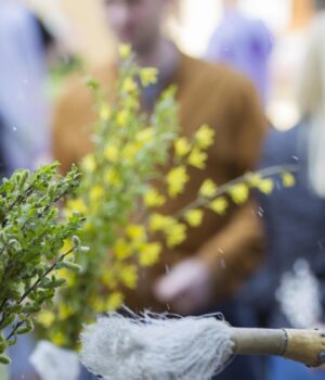 5-квітня:-велике-церковне-свято,-як-освятити-вербу-вдома-і-що-не-можна-робити 5-квітня:-велике-церковне-свято,-як-освятити-вербу-вдома-і-що-не-можна-робити