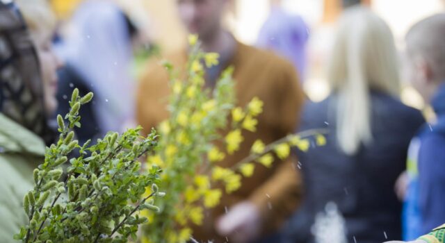 5 квітня: велике церковне свято, як освятити вербу вдома і що не можна робити 5-квітня:-велике-церковне-свято,-як-освятити-вербу-вдома-і-що-не-можна-робити