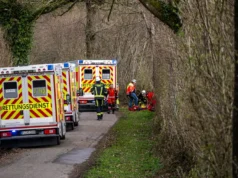 Трагедія в Німеччині: падіння дерева забрало життя трьох людей, серед яких немовля У-Німеччині-внаслідок-падіння-дерева-загинули-троє-людей,-серед-яких-немовля