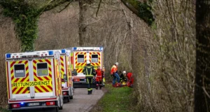 Трагедія в Німеччині: падіння дерева забрало життя трьох людей, серед яких немовля У-Німеччині-внаслідок-падіння-дерева-загинули-троє-людей,-серед-яких-немовля