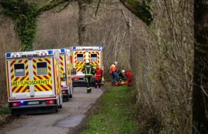 Трагедія в Німеччині: падіння дерева забрало життя трьох людей, серед яких немовля У-Німеччині-внаслідок-падіння-дерева-загинули-троє-людей,-серед-яких-немовля