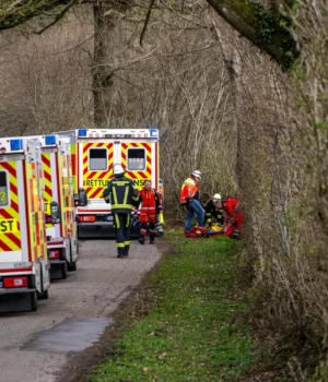 У-Німеччині-внаслідок-падіння-дерева-загинули-троє-людей,-серед-яких-немовля