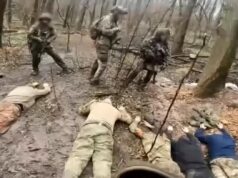 “Командири покинули без їжі та зв’язку три доби тому”: в полон ЗСУ здалися п’ятеро росіян “Командири-покинули-без-їжі-та-зв’язку-три-доби-тому”:-в-полон-ЗСУ-здалися-п’ятеро-росіян