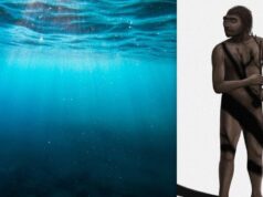 Стародавній підводний світ відкрив науковцям нові подробиці про предків сучасних людей Стародавній-підводний-світ-відкрив-науковцям-нові-подробиці-про-предків-сучасних-людей