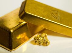 Вчені виявили грибок, який їсть золото: йому вже знайшли застосування Вчені-виявили-грибок,-який-їсть-золото:-йому-вже-знайшли-застосування