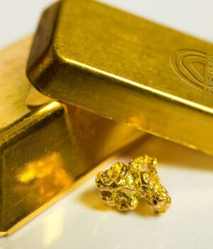 Вчені-виявили-грибок,-який-їсть-золото:-йому-вже-знайшли-застосування Вчені-виявили-грибок,-який-їсть-золото:-йому-вже-знайшли-застосування