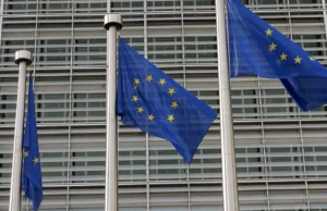 ЄС закликає країни обмежити енергетичну допомогу через зростання цін ЄС-застеріг-від-перетворення-енергетичної-кризи-на-бюджетну-–-ft