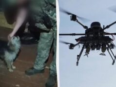 Бійці 14-ї ОМБр за допомогою дрона евакуювали з позиції кота та собаку Бійці-14-ї-ОМБр-за-допомогою-дрона-евакуювали-з-позиції-кота-та-собаку