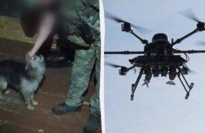 Бійці 14-ї ОМБр за допомогою дрона евакуювали з позиції кота та собаку Бійці-14-ї-ОМБр-за-допомогою-дрона-евакуювали-з-позиції-кота-та-собаку