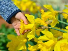 Синоптикиня Діденко назвала дати, коли до України повернеться весняне тепло Синоптикиня-Діденко-назвала-дати,-коли-до-України-повернеться-весняне-тепло