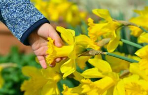 Синоптикиня Діденко назвала дати, коли до України повернеться весняне тепло Синоптикиня-Діденко-назвала-дати,-коли-до-України-повернеться-весняне-тепло