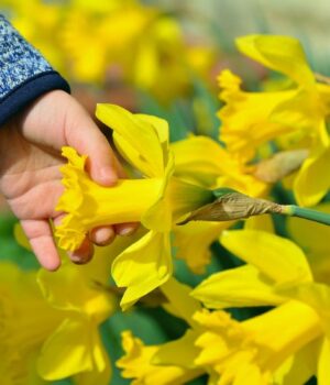 Синоптикиня-Діденко-назвала-дати,-коли-до-України-повернеться-весняне-тепло