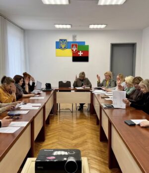 Соціальна-підтримка-та-догляд:-у-Нововолинську-провели-засідання-двох-комісій Соціальна-підтримка-та-догляд:-у-Нововолинську-провели-засідання-двох-комісій