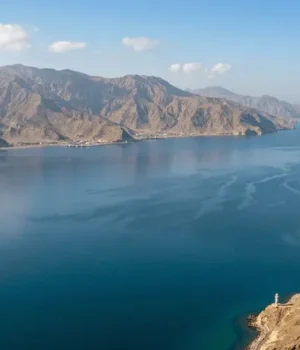 Українські військові долучилися до консультацій щодо розблокування Ормузької протоки