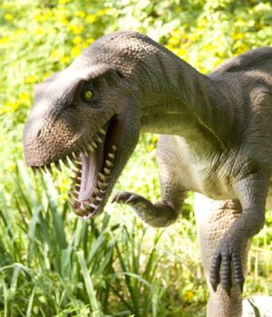 Унікальна-знахідка-на-глибині-500-метрів:-учені-виявили-сліди-динозаврів-на-стелі-печери