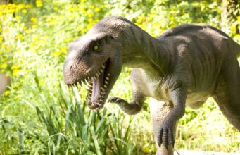 Унікальна знахідка на глибині 500 метрів: учені виявили сліди динозаврів на стелі печери Унікальна-знахідка-на-глибині-500-метрів:-учені-виявили-сліди-динозаврів-на-стелі-печери