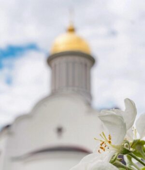 З-Чистим-четвергом-2026:-красиві-слова-та-листівки,-від-яких-стає-тепло-на-душі З-Чистим-четвергом-2026:-красиві-слова-та-листівки,-від-яких-стає-тепло-на-душі