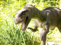 Унікальна знахідка на глибині 500 метрів: учені виявили сліди динозаврів на стелі печери Унікальна-знахідка-на-глибині-500-метрів:-учені-виявили-сліди-динозаврів-на-стелі-печери