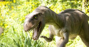 Унікальна знахідка на глибині 500 метрів: учені виявили сліди динозаврів на стелі печери Унікальна-знахідка-на-глибині-500-метрів:-учені-виявили-сліди-динозаврів-на-стелі-печери