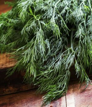 Кріп-залишатиметься-свіжим-дуже-довго:-як-правильно-зберігати-зелень-у-холодильнику