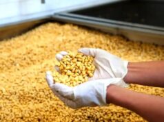 Збитків на 193 тисячі: волинянку зобов’язали заплатити за посів сої на чужій землі Збитків-на-193-тисячі:-волинянку-зобов’язали-заплатити-за-посів-сої-на-чужій-землі