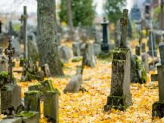 Несподіваний доказ: у США шматок моху, виявлений серед останків, допоміг засудити розкрадачів могил Несподіваний-доказ:-у-США-шматок-моху,-виявлений-серед-останків,-допоміг-засудити-розкрадачів-могил