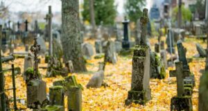 Несподіваний доказ: у США шматок моху, виявлений серед останків, допоміг засудити розкрадачів могил Несподіваний-доказ:-у-США-шматок-моху,-виявлений-серед-останків,-допоміг-засудити-розкрадачів-могил