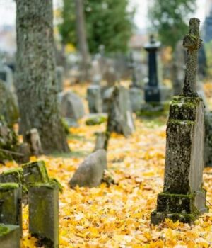 Несподіваний-доказ:-у-США-шматок-моху,-виявлений-серед-останків,-допоміг-засудити-розкрадачів-могил