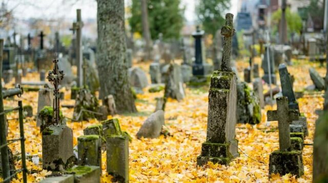 Несподіваний доказ: у США шматок моху, виявлений серед останків, допоміг засудити розкрадачів могил Несподіваний-доказ:-у-США-шматок-моху,-виявлений-серед-останків,-допоміг-засудити-розкрадачів-могил