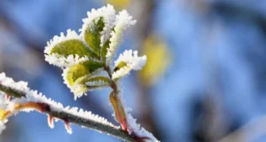 У Львові зафіксовано історичний температурний рекорд У Львові зафіксовано історичний температурний рекорд