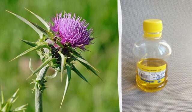 Одна столова ложка цього продукту перед сніданком, і печінка буде вам вдячна Одна-столова-ложка-цього-продукту-перед-сніданком,-і-печінка-буде-вам-вдячна