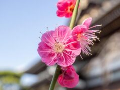 13 квітня погода в Україні нарешті почне покращуватися 13-квітня-погода-в-Україні-нарешті-почне-покращуватися