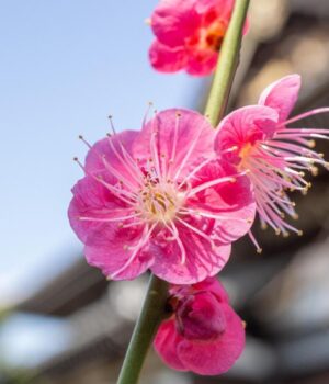 13-квітня-погода-в-Україні-нарешті-почне-покращуватися