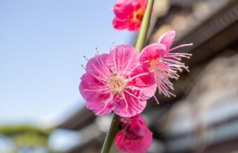 13 квітня погода в Україні нарешті почне покращуватися 13-квітня-погода-в-Україні-нарешті-почне-покращуватися