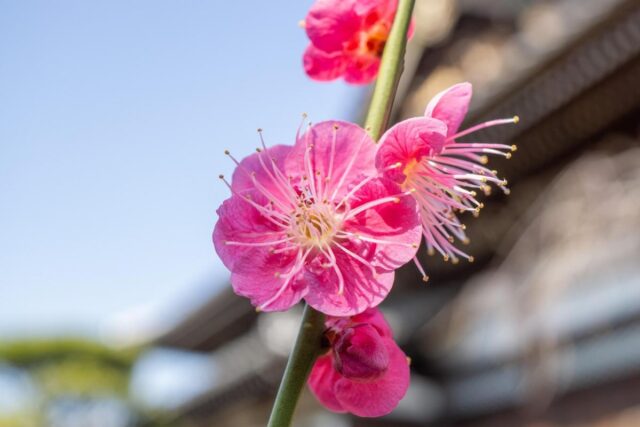 13 квітня погода в Україні нарешті почне покращуватися 13-квітня-погода-в-Україні-нарешті-почне-покращуватися