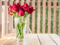 Квіти будуть довше стояти: що додати у вазу, аби букет не зів’яв через тиждень Квіти-будуть-довше-стояти:-що-додати-у-вазу,-аби-букет-не-зів’яв-через-тиждень