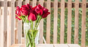 Квіти будуть довше стояти: що додати у вазу, аби букет не зів’яв через тиждень Квіти-будуть-довше-стояти:-що-додати-у-вазу,-аби-букет-не-зів’яв-через-тиждень