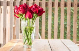 Квіти будуть довше стояти: що додати у вазу, аби букет не зів’яв через тиждень Квіти-будуть-довше-стояти:-що-додати-у-вазу,-аби-букет-не-зів’яв-через-тиждень