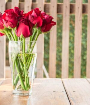 Квіти-будуть-довше-стояти:-що-додати-у-вазу,-аби-букет-не-зів’яв-через-тиждень Квіти-будуть-довше-стояти:-що-додати-у-вазу,-аби-букет-не-зів’яв-через-тиждень