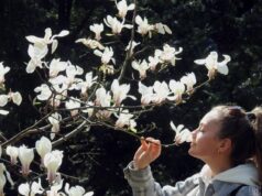 14 квітня в Україні потеплішає до +16° і більше 14-квітня-в-Україні-потеплішає-до-+16°-і-більше