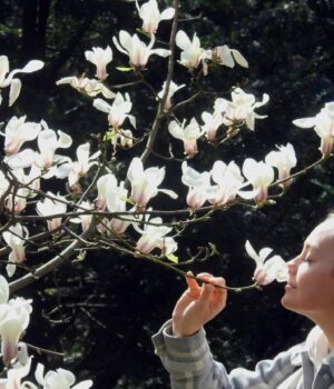 14-квітня-в-Україні-потеплішає-до-+16°-і-більше