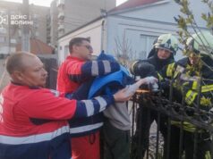 На Волині 10-річний хлопчик нахромився на огорожу. ФОТО На-Волині-10-річний-хлопчик-нахромився-на-огорожу.-ФОТО