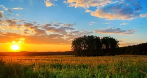 Погода в Україні 16 квітня: у Києві очікують потепління Погода в Україні 16 квітня: у Києві очікують потепління