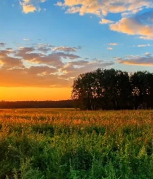 z_vidkrytyx_dzherel_large.webp Погода в Україні 16 квітня: у Києві очікують потепління