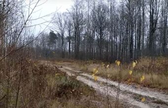 На Волині чоловік підірвався на міні у прикордонній зоні На-Волині-чоловік-підірвався-на-міні-у-прикордонній-зоні