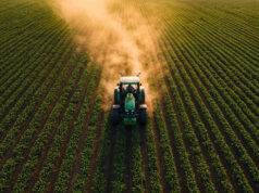 Захист посівів озимого ріпаку в Нововолинську: важливі дати та рекомендації для мешканців Повідомлення-про-проведення-обробки-посівів-озимого-ріпаку-на-території-Нововолинської-громади