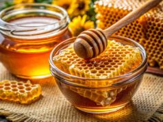 В Україні фіксують дефіцит меду: експерт розповів, чим це загрожує В-Україні-фіксують-дефіцит-меду:-експерт-розповів,-чим-це-загрожує