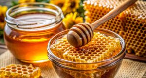 В Україні фіксують дефіцит меду: експерт розповів, чим це загрожує В-Україні-фіксують-дефіцит-меду:-експерт-розповів,-чим-це-загрожує