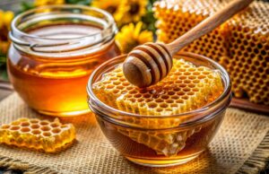 В Україні фіксують дефіцит меду: експерт розповів, чим це загрожує В-Україні-фіксують-дефіцит-меду:-експерт-розповів,-чим-це-загрожує